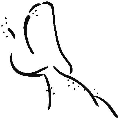 Image of the occurrence